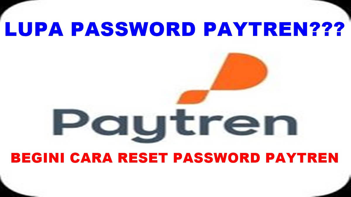 cara reset password paytren